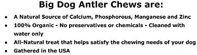 Big Dog Antler Chews — Pack de 6 Mordedores Naturales de Asta de Venado y Alce para Perros Pequeños de 0 a 20 Libras