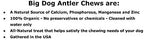 Big Dog Antler Chews — Pack de 6 Mordedores Naturales de Asta de Venado y Alce para Perros Pequeños de 0 a 20 Libras