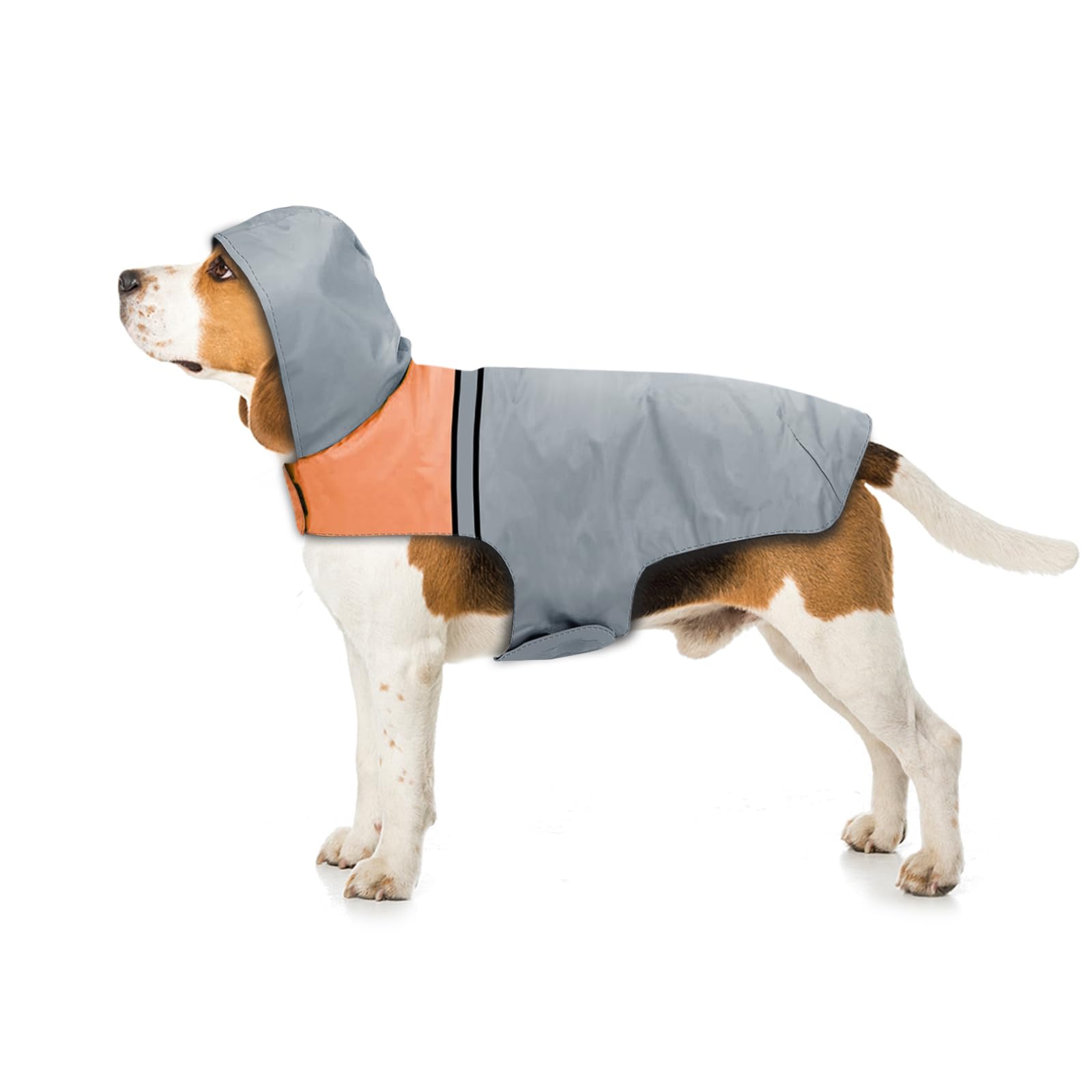 Impermeable para Perro con Tiras Reflectantes y Capucha