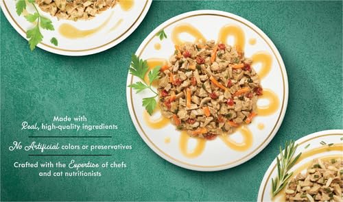 Purina Fancy Feast Medleys — Alimento Húmedo para Gatos Adultos, Variedad de Pollo con Arroz, Verduras y Salsa, Pack de 12 Latas de 85g