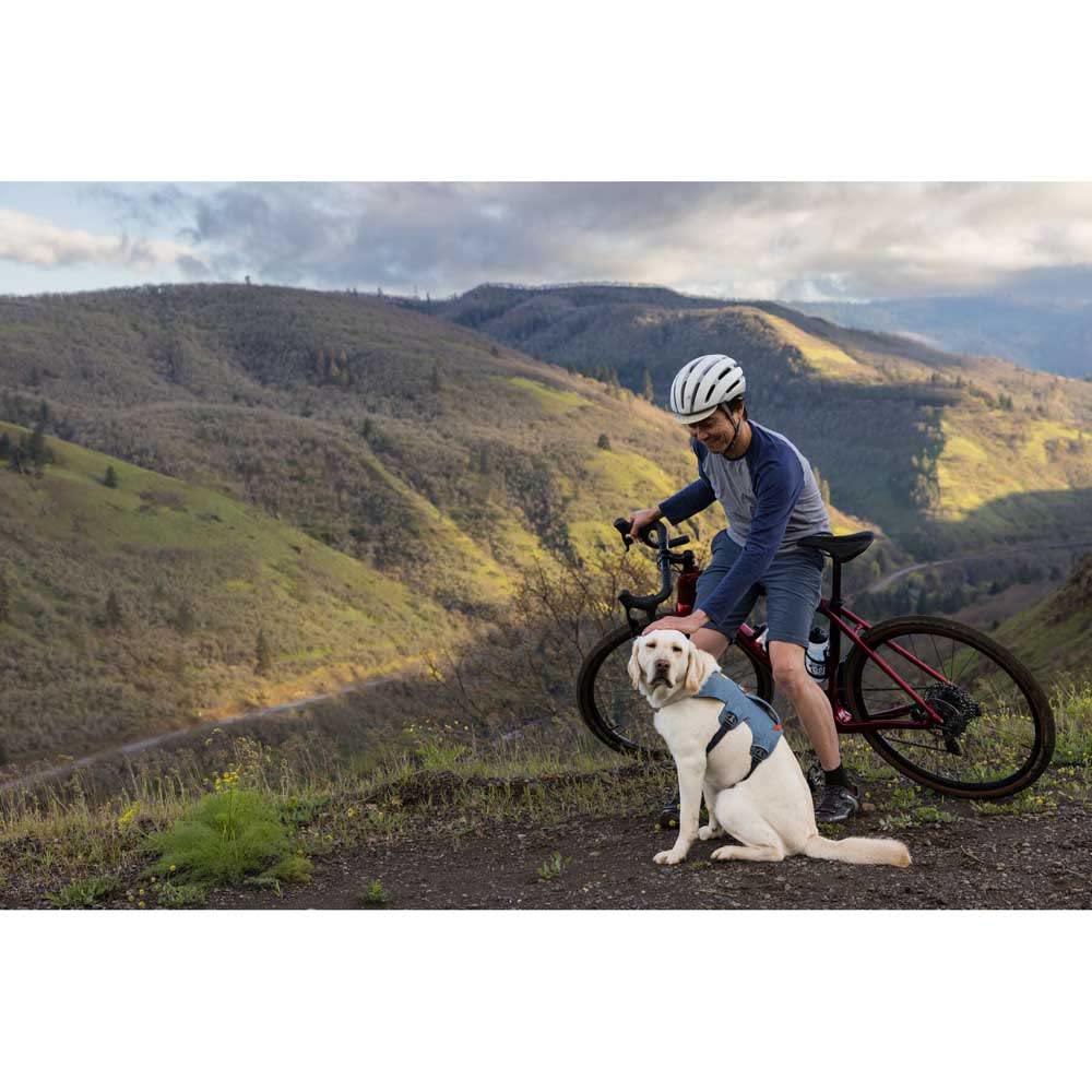 Ruffwear Web Master — Arnés de Soporte y Asistencia Multi-Uso para Perro