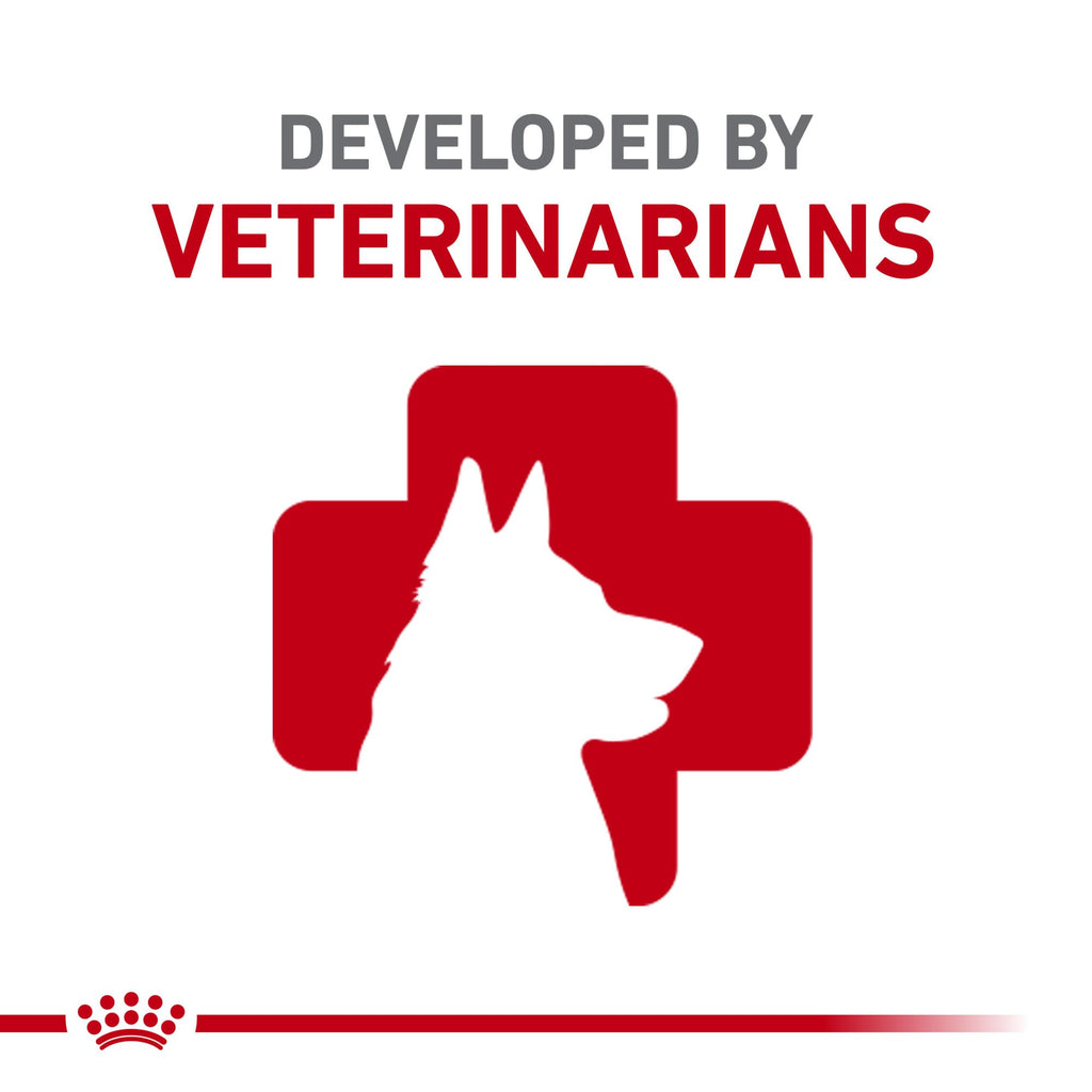 Royal Canin Breed Health Nutrition Poodle Adult — Croquetas para Perro Adulto Raza Caniche