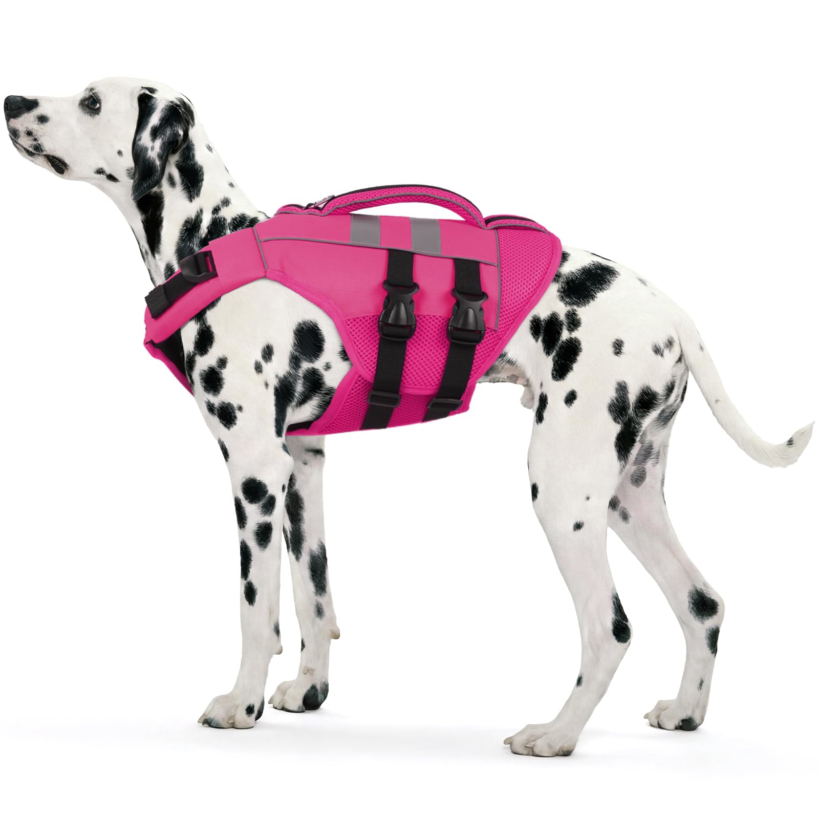Kuoser — Chaleco Salvavidas Ajustable con Asa de Rescate y Reflectores para Perro