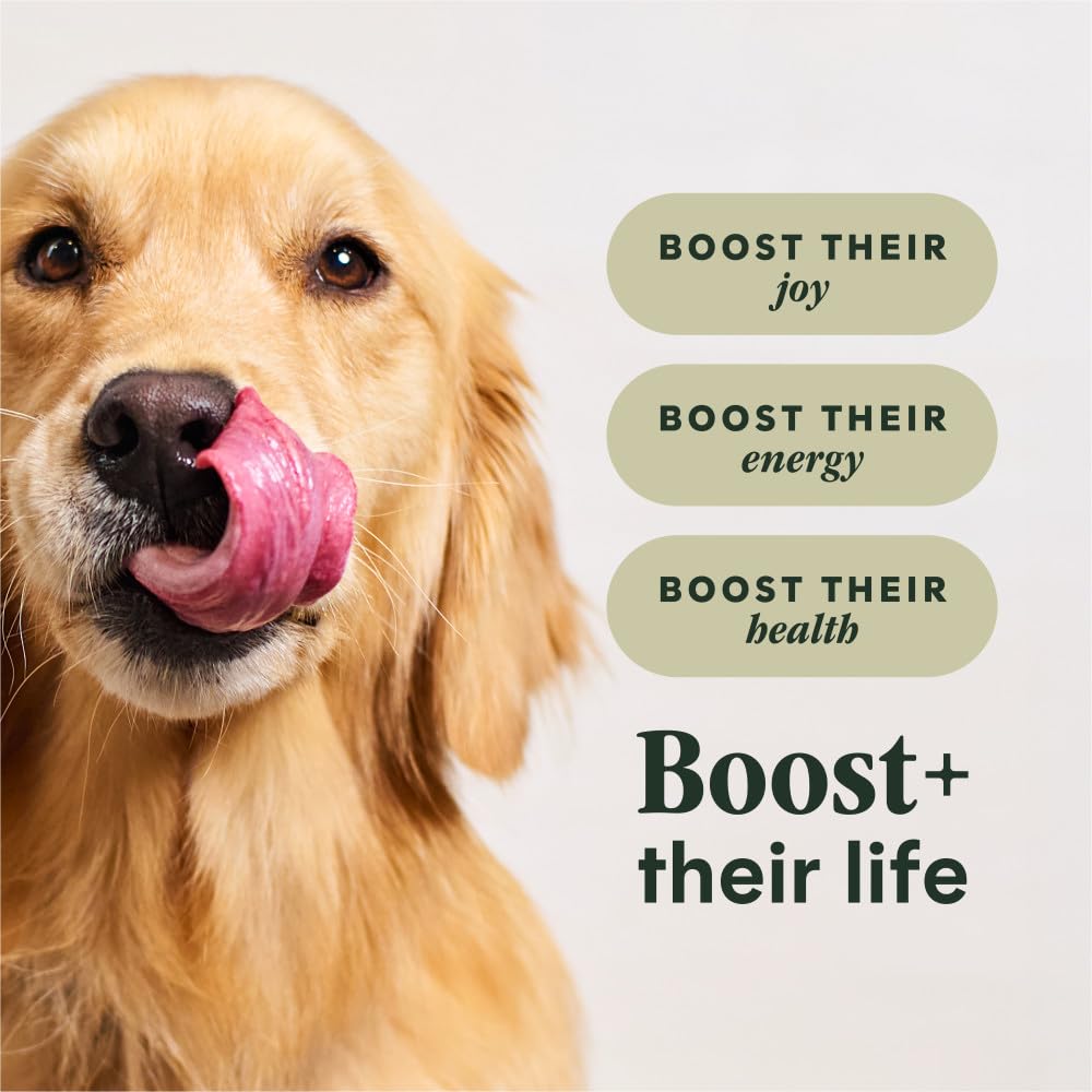 Instinct RawBoost Whole Grain — Alimento para Perro con Trozos de Pollo Crudo Deshidratado y Granos Enteros