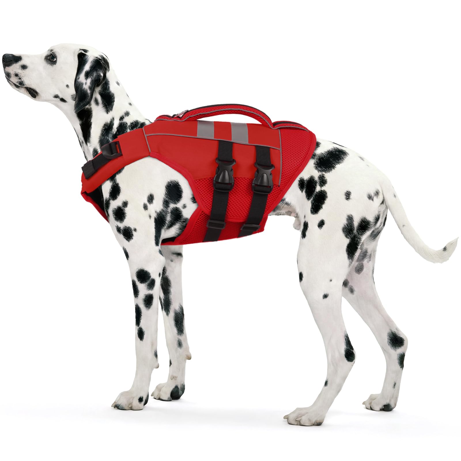 Kuoser — Chaleco Salvavidas Ajustable con Asa de Rescate y Reflectores para Perro