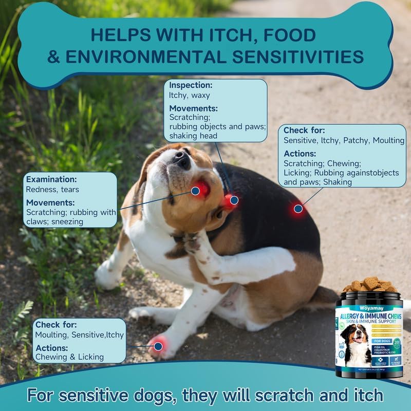 Gomitas para Alergias en Perros con Probióticos — 200 Masticables Suaves para Alivio de Picazón, Piel Sensible, Soporte Inmune y Salud Digestiva, Sabor Pollo