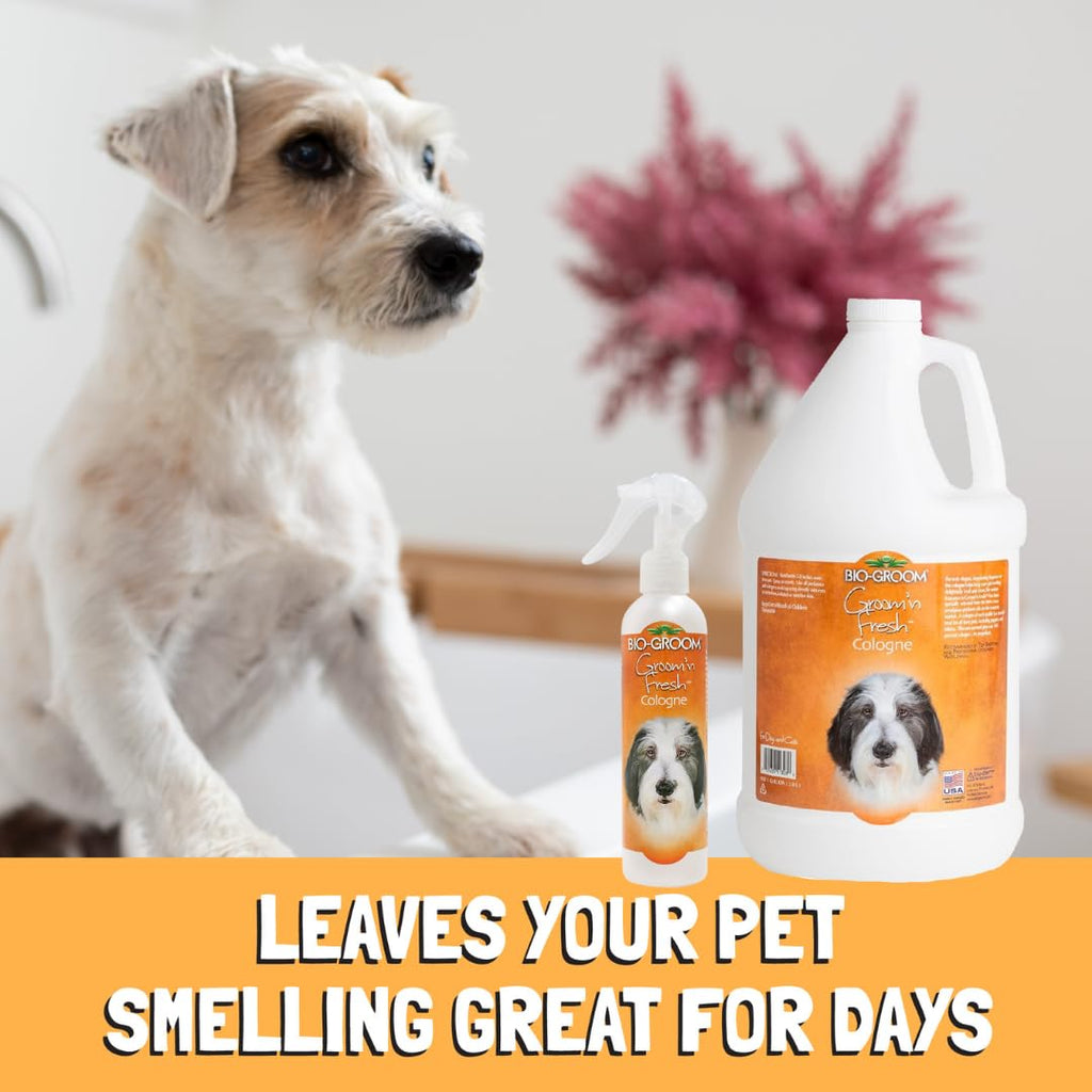 Bio-Groom Groom 'N Fresh — Colonia y Shampoo Perfumado Sin Crueldad para Perro
