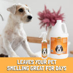 Bio-Groom Groom 'N Fresh — Colonia y Shampoo Perfumado Sin Crueldad para Perro