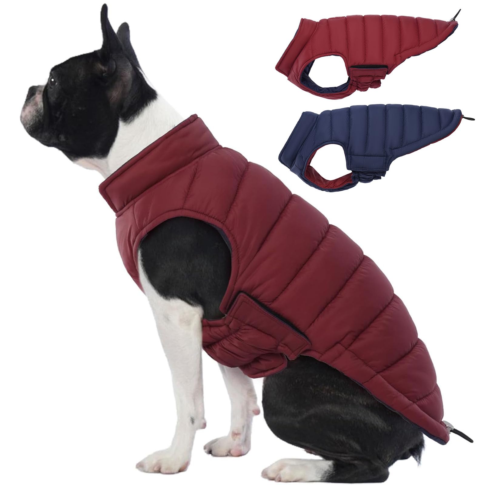 Lelepet — Chamarra Reversible Acolchada para Perro, Resistente al Viento y Agua, para Perros Pequeños