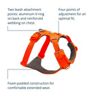 Ruffwear Front Range — Arnés Acolchado con Doble Enganche y Fácil Ajuste para Perro