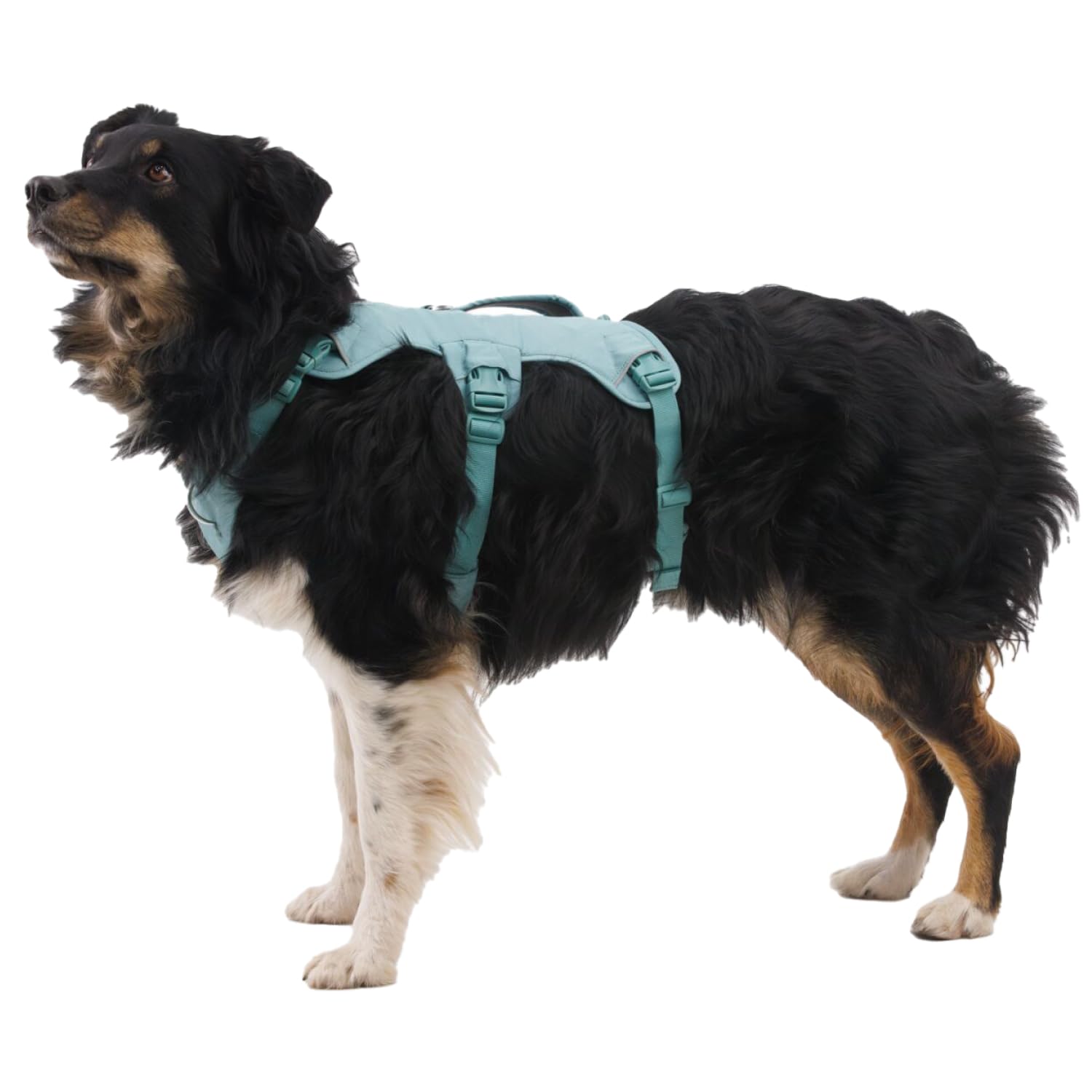Ruffwear Web Master — Arnés de Soporte y Asistencia Multi-Uso para Perro