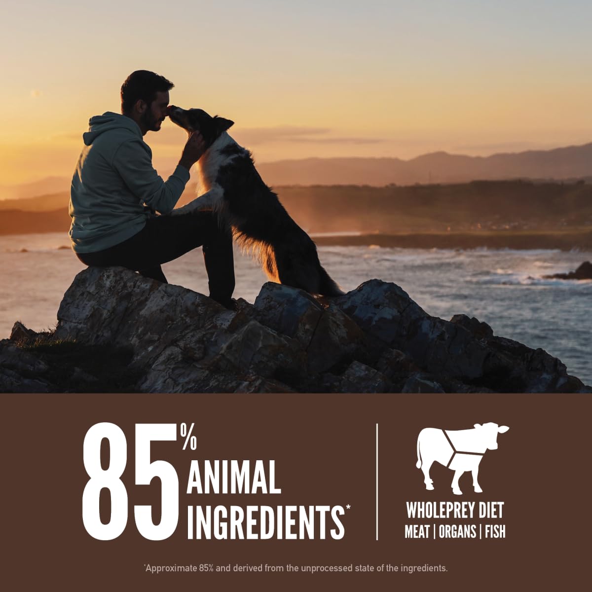 ORIJEN — Alimento Seco Sin Granos para Perro