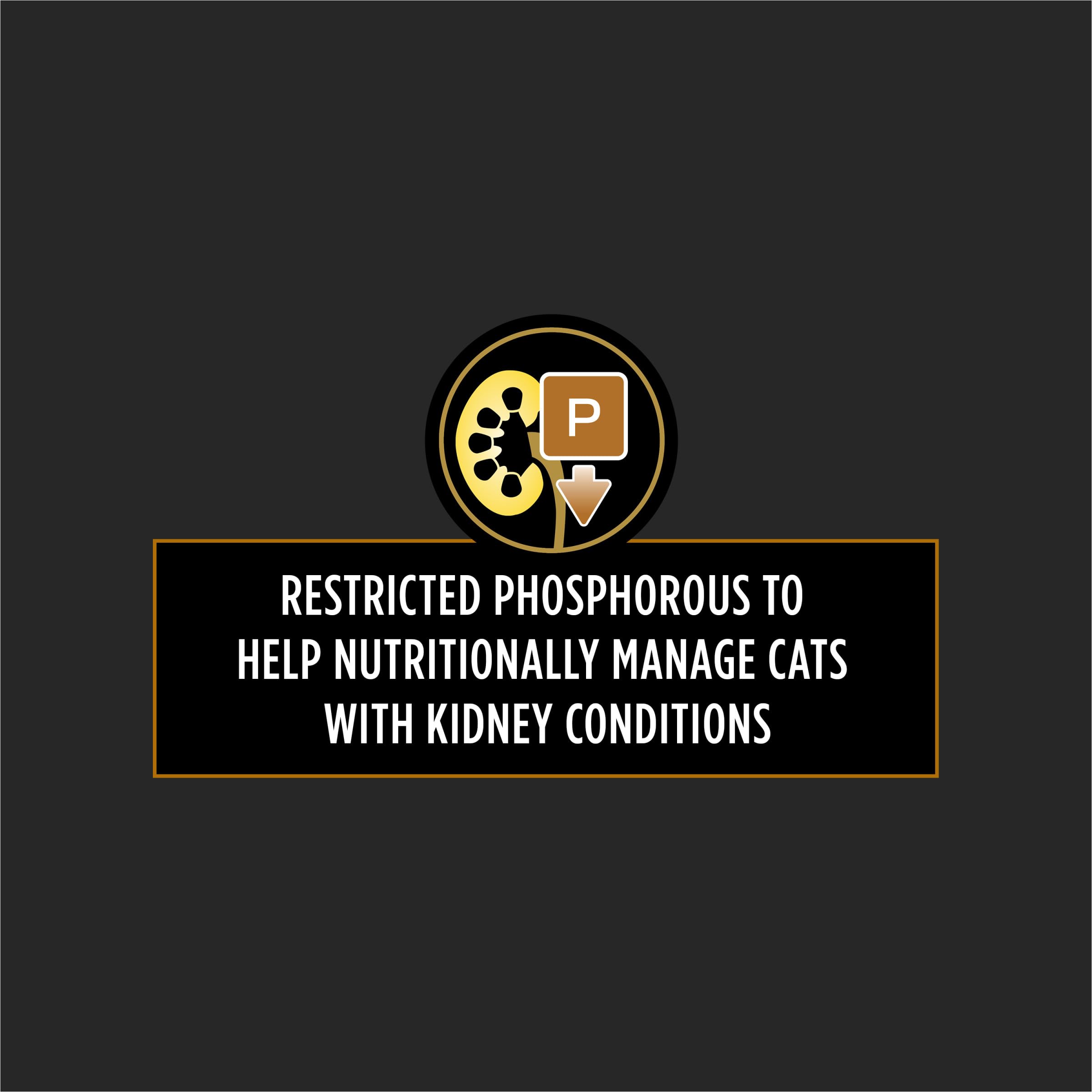 Purina Pro Plan Veterinary Diets NF Kidney Function Early Care — Alimento Húmedo en Paté para Gato Adulto con Función Renal