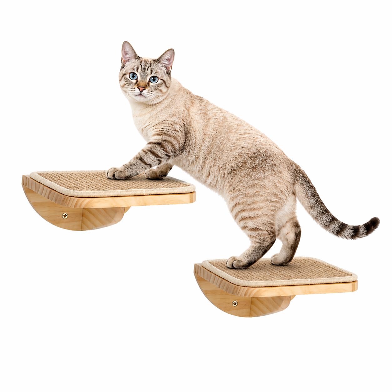 PELUO Curved — Cama Flotante para Gato con 2 Escalones de Pared y Percha de Ventana