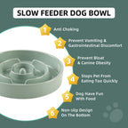 Havniva — Tazón Comedero Lento de Cerámica para Mascotas — Alimentación Pausada y Saludable para Perros y Gatos