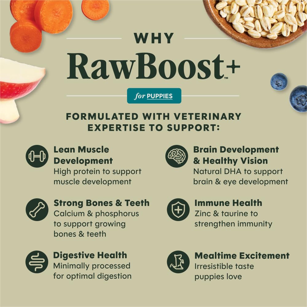 Instinct RawBoost Whole Grain — Alimento para Perro con Trozos de Pollo Crudo Deshidratado y Granos Enteros