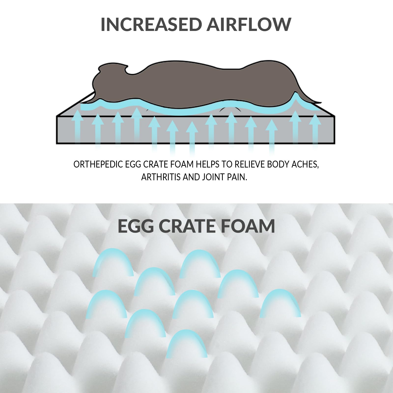 Patas Lague — Cama Ortopédica con Espuma Egg Crate, Funda Lavable y Base Antideslizante para Perro