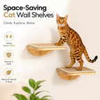 PELUO Curved — Cama Flotante para Gato con 2 Escalones de Pared y Percha de Ventana