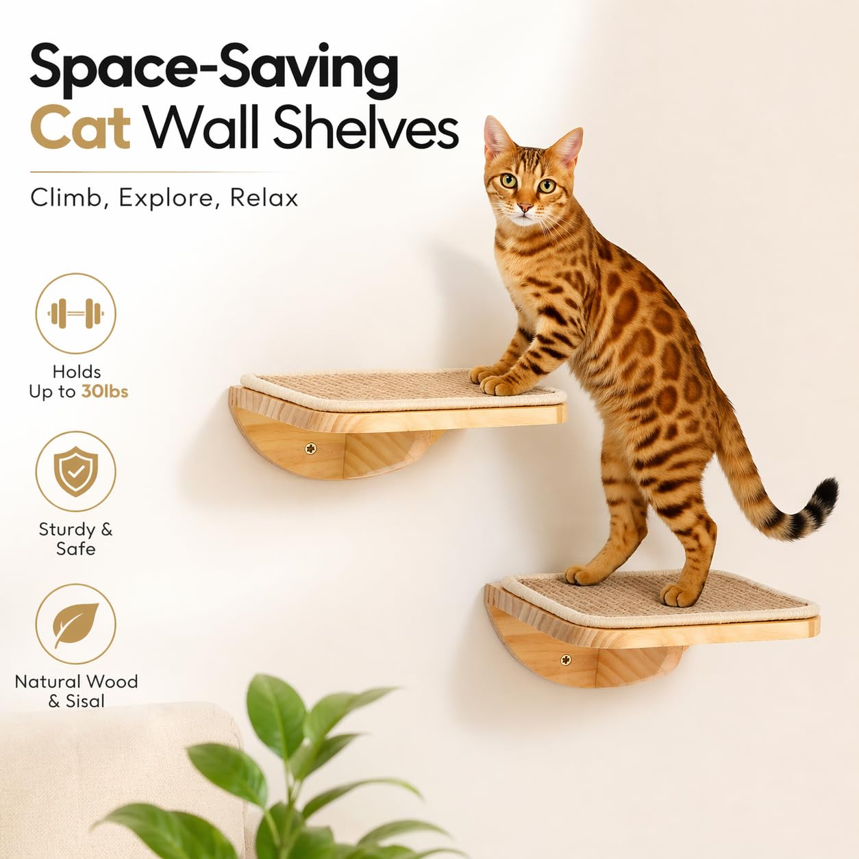 PELUO Curved — Cama Flotante para Gato con 2 Escalones de Pared y Percha de Ventana