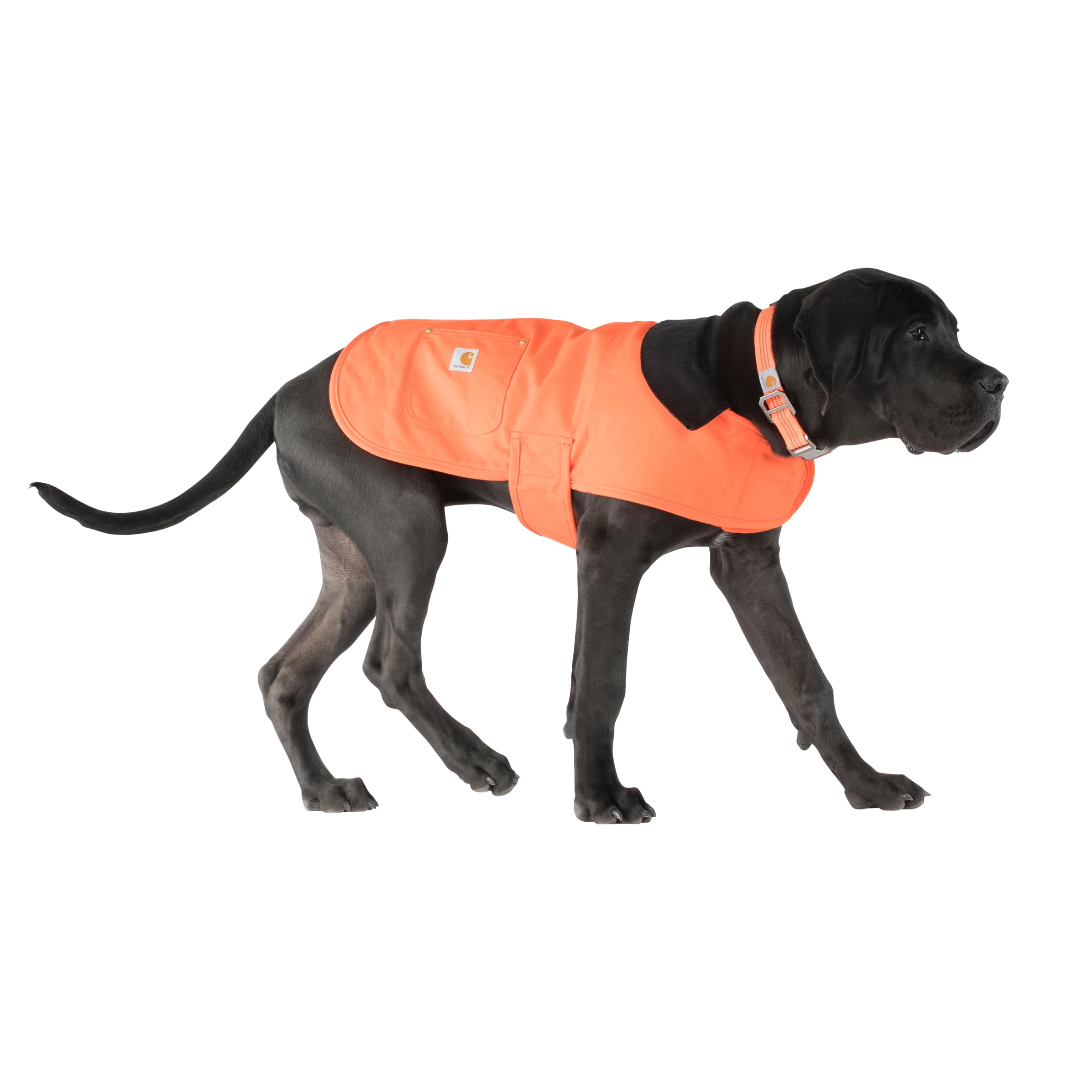 Carhartt Firm Duck — Abrigo Impermeable Acolchado para Perro, Resistente al Viento y Frío