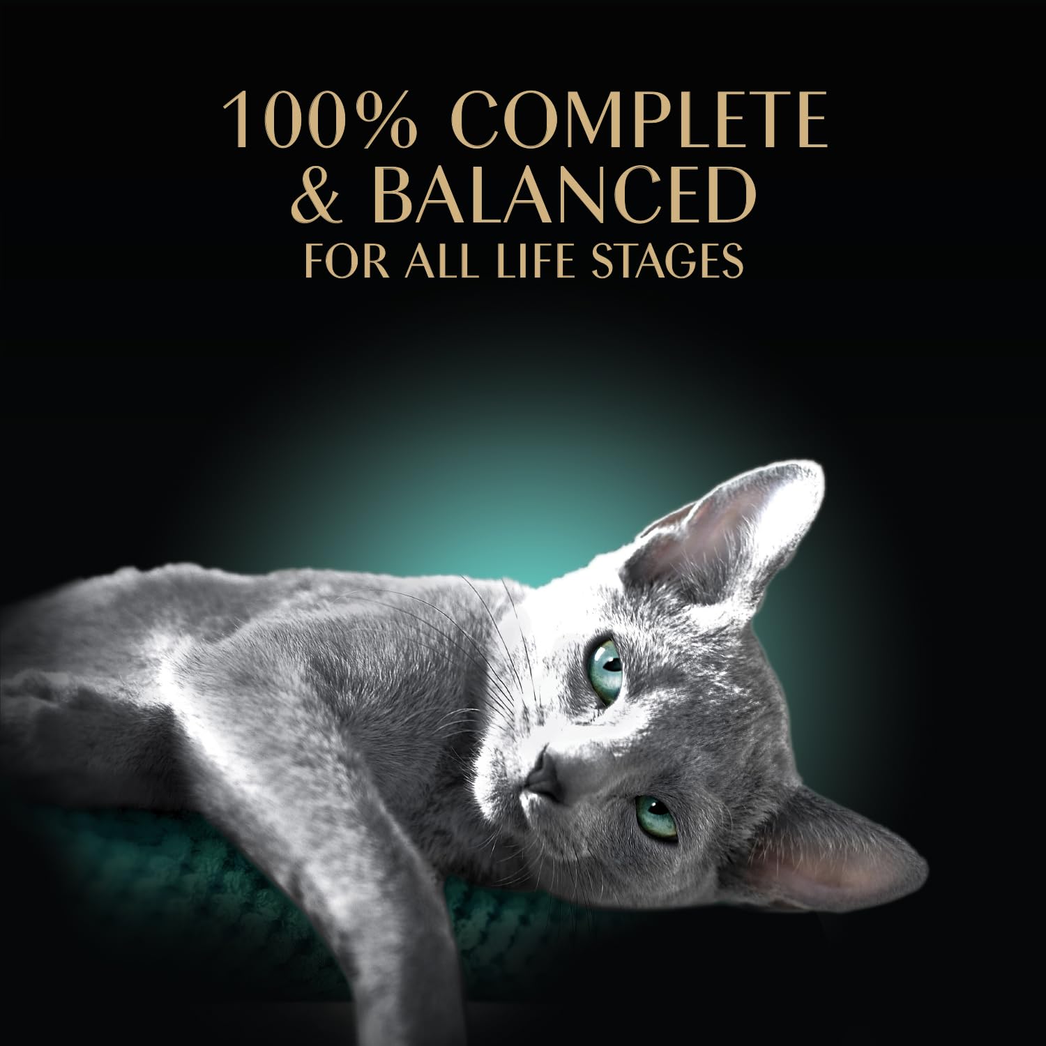 Sheba Perfect Portions — Alimento Húmedo en Paté para Gato Adulto