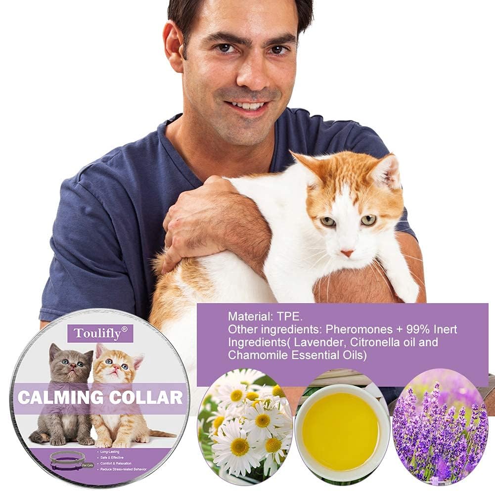 Nature's Miracle Urine Destroyer — Eliminador Enzimático de Orina para Perro