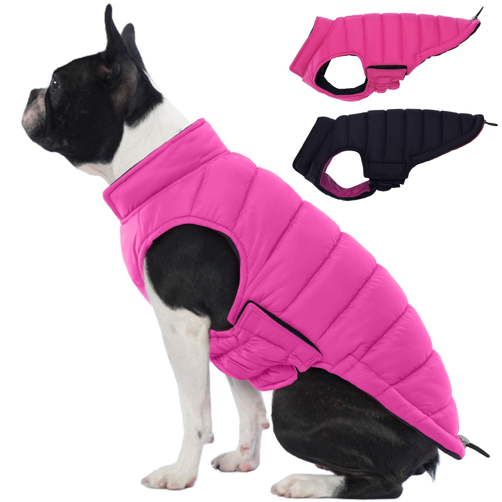 Lelepet — Chamarra Reversible Acolchada para Perro, Resistente al Viento y Agua, para Perros Pequeños