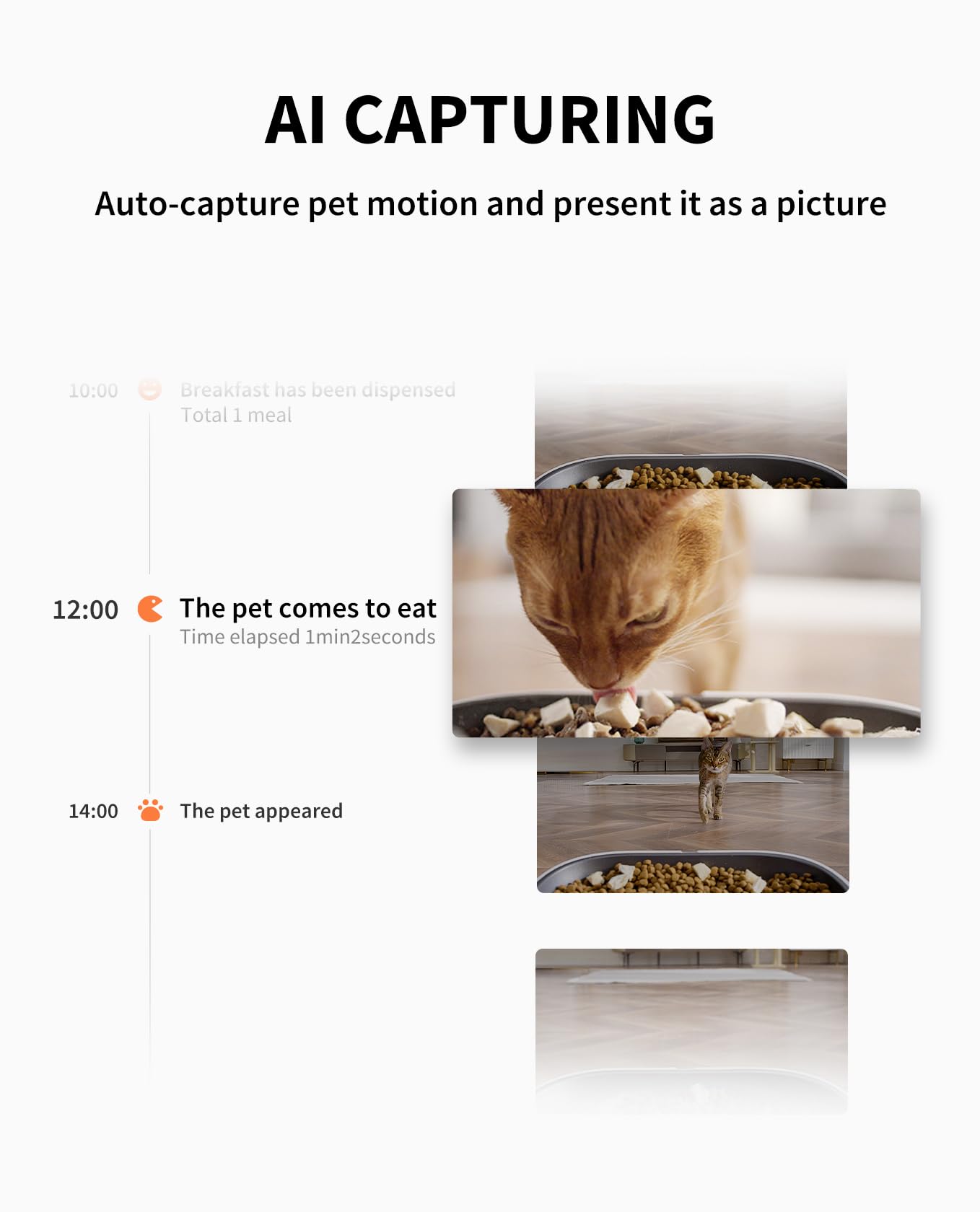 PETKIT — Comedero Automático con Cámara HD 1080P y Visión Nocturna para Gato y Perro Pequeño
