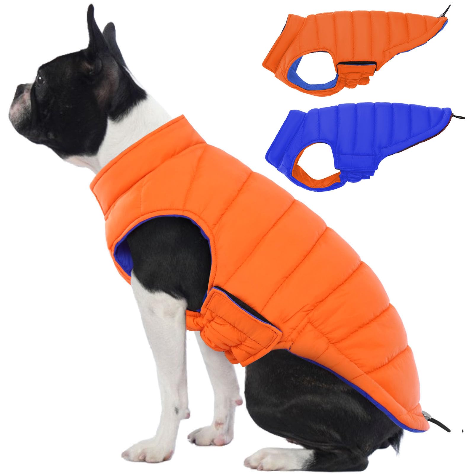 Lelepet — Chamarra Reversible Acolchada para Perro, Resistente al Viento y Agua, para Perros Pequeños