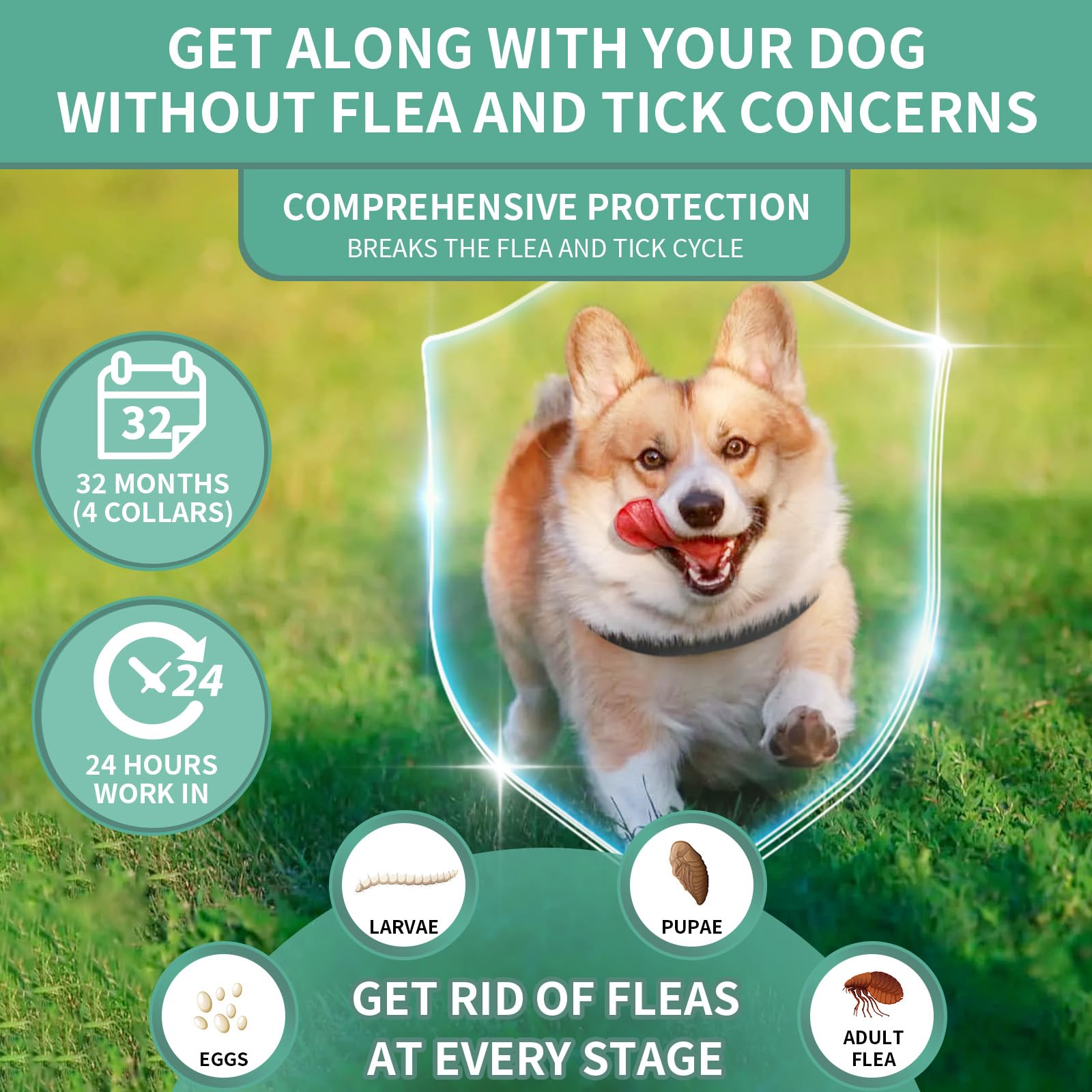 Puyrzoe Collar Antipulgas y Garrapatas para Perros y Cachorros — Paquete de 4 Collares con 32 Meses de Protección, Impermeable, Ajustable y de Liberación Lenta (Negro)