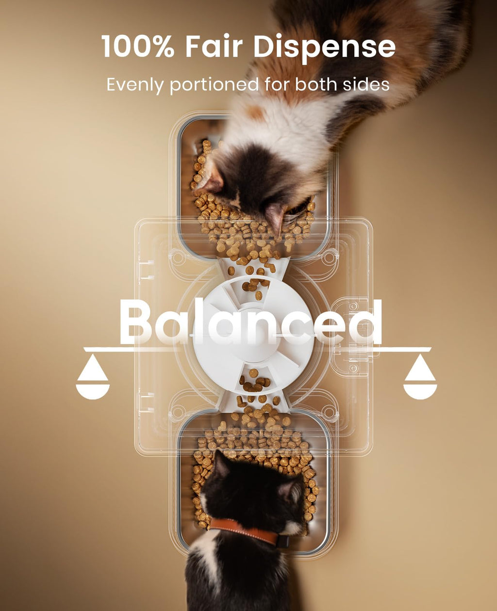 Oneisall — Comedero Automático para 2 Gatos y Mascotas Pequeñas con Dispensador de Alimento de 5L / 20 Tazas