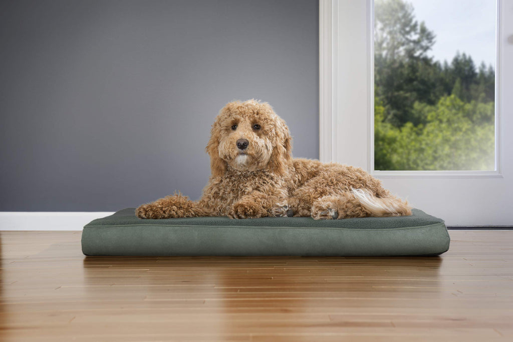 Furhaven — Cama Ortopédica con Cubierta Lavable y Desmontable para Perro