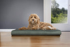 Furhaven — Cama Ortopédica con Cubierta Lavable y Desmontable para Perro