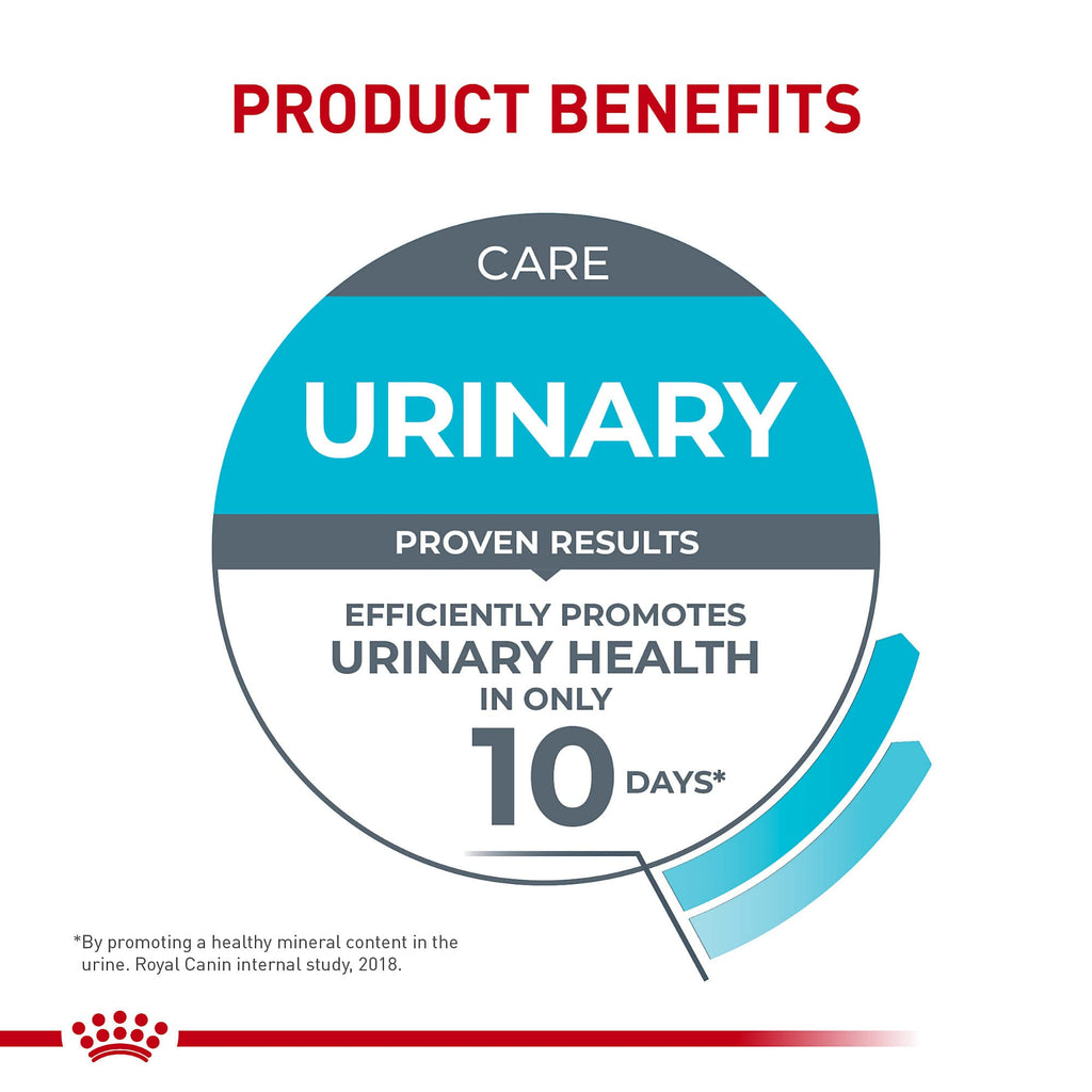 Royal Canin Feline Care Nutrition Urinary Care — Alimento Húmedo para Gatos Adultos en Rodajas Delgadas en Salsa, 85g (Pack de 6)