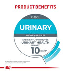Royal Canin Feline Care Nutrition Urinary Care — Alimento Húmedo para Gatos Adultos en Rodajas Delgadas en Salsa, 85g (Pack de 6)