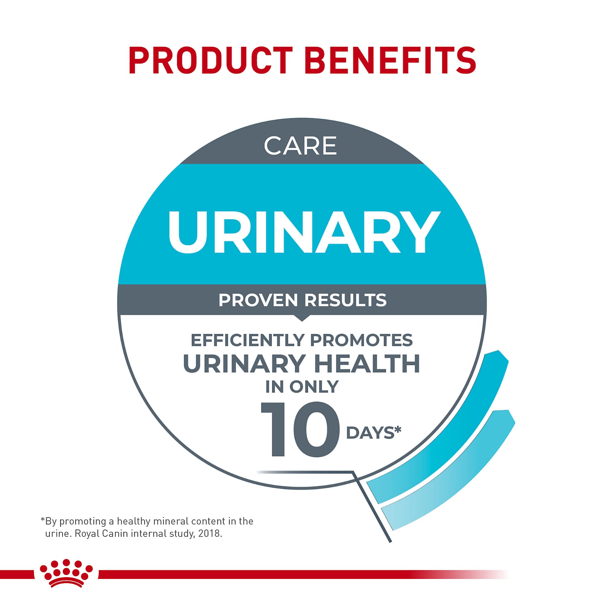 Royal Canin Feline Care Nutrition Urinary Care — Alimento Húmedo para Gatos Adultos en Rodajas Delgadas en Salsa, 85g (Pack de 6)