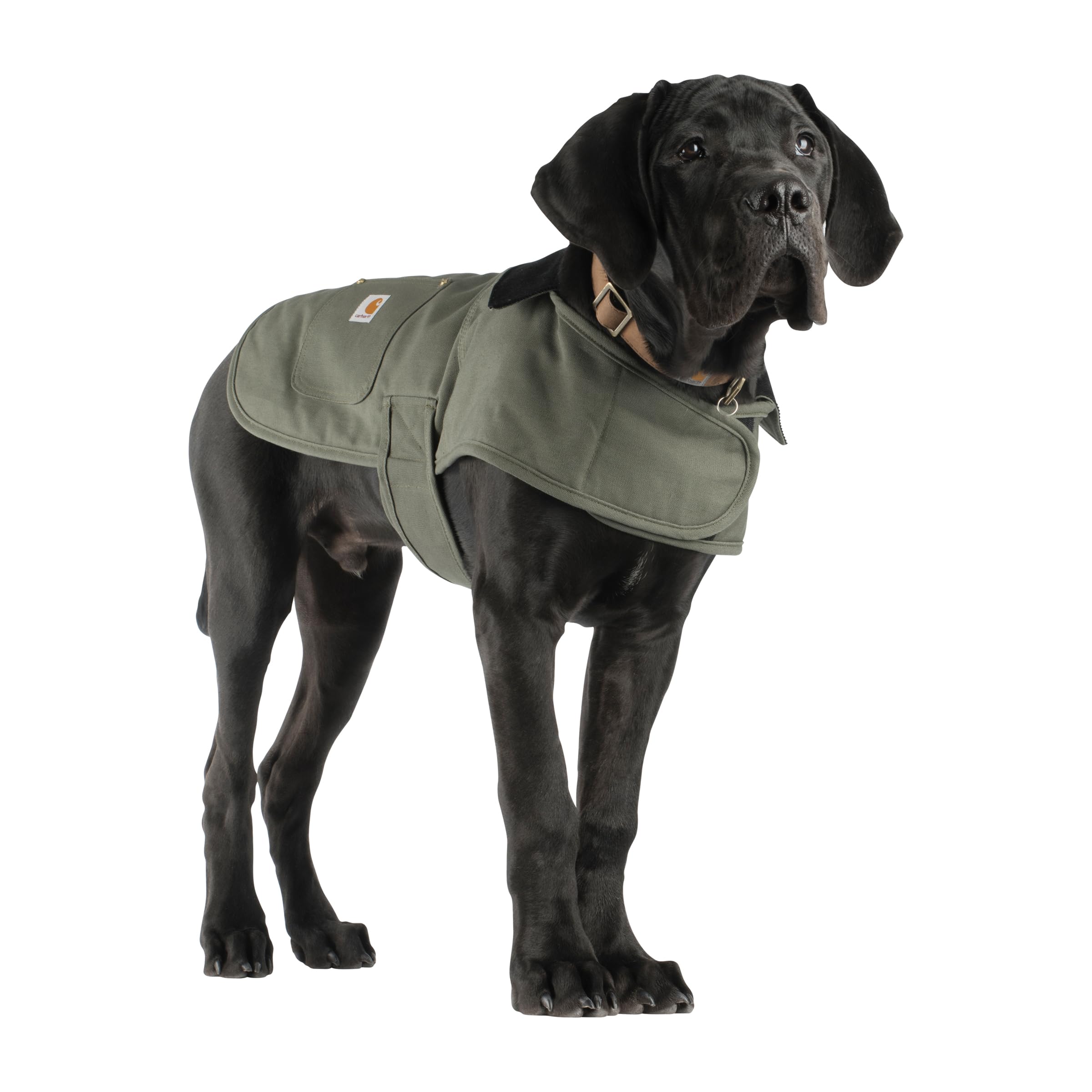 Carhartt Firm Duck — Abrigo Impermeable Acolchado para Perro, Resistente al Viento y Frío