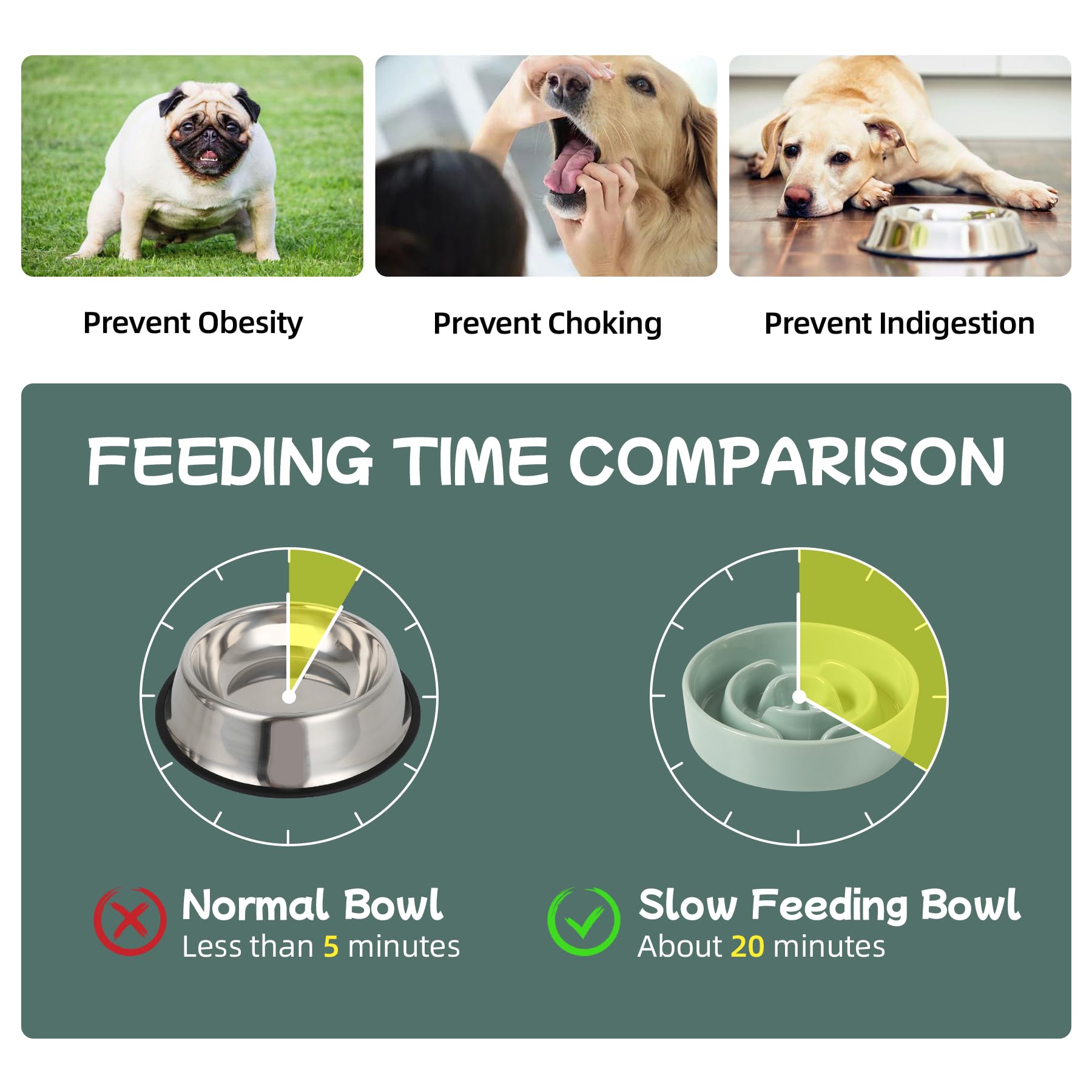 Havniva — Tazón Comedero Lento de Cerámica para Mascotas — Alimentación Pausada y Saludable para Perros y Gatos