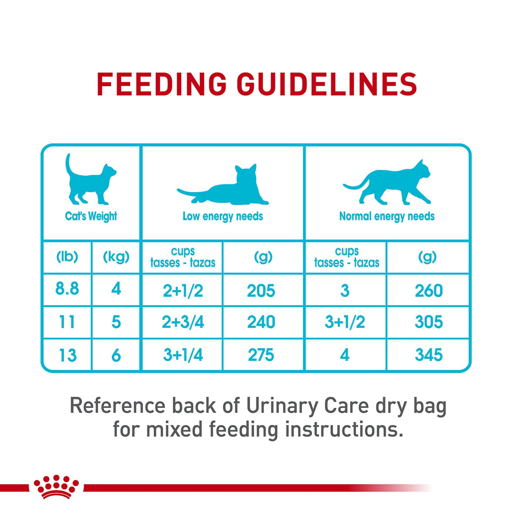 Royal Canin Feline Care Nutrition Urinary Care — Alimento Húmedo para Gatos Adultos en Rodajas Delgadas en Salsa, 85g (Pack de 6)