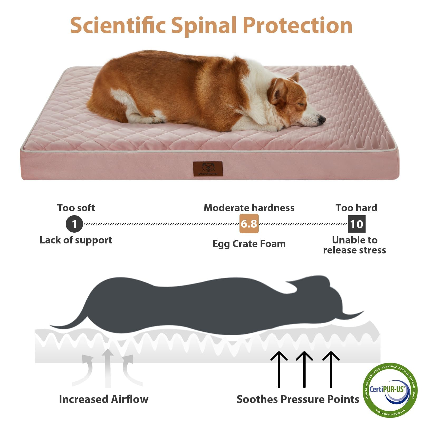 WNPETHOME — Cama Ortopédica Impermeable con Funda Lavable y Base Antideslizante para Perro