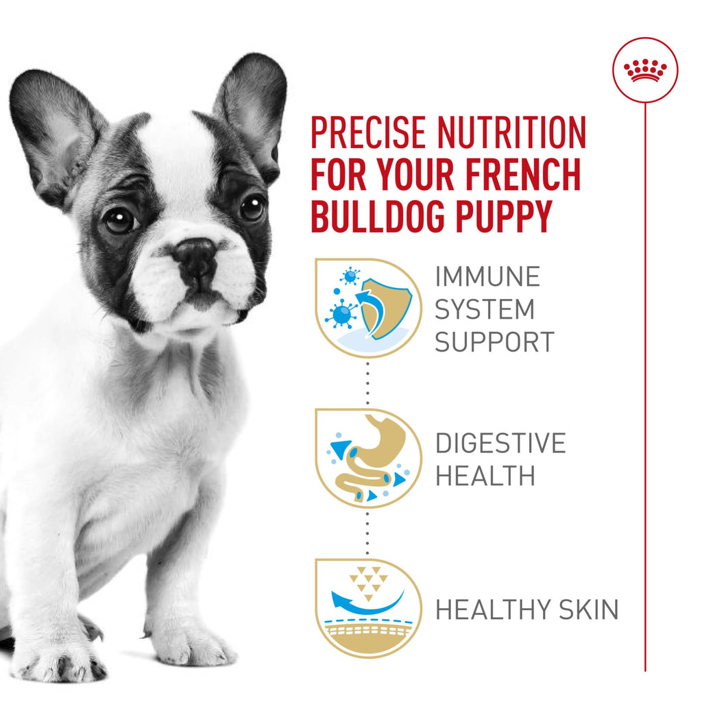 Royal Canin French Bulldog Puppy — Croquetas Especializadas para Cachorros de Bulldog Francés