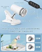GOZILLA — Kit Completo de Acuario para Tortuga con Lámpara UVA/UVB y Filtro — Starter Kit para Reptiles Pequeños