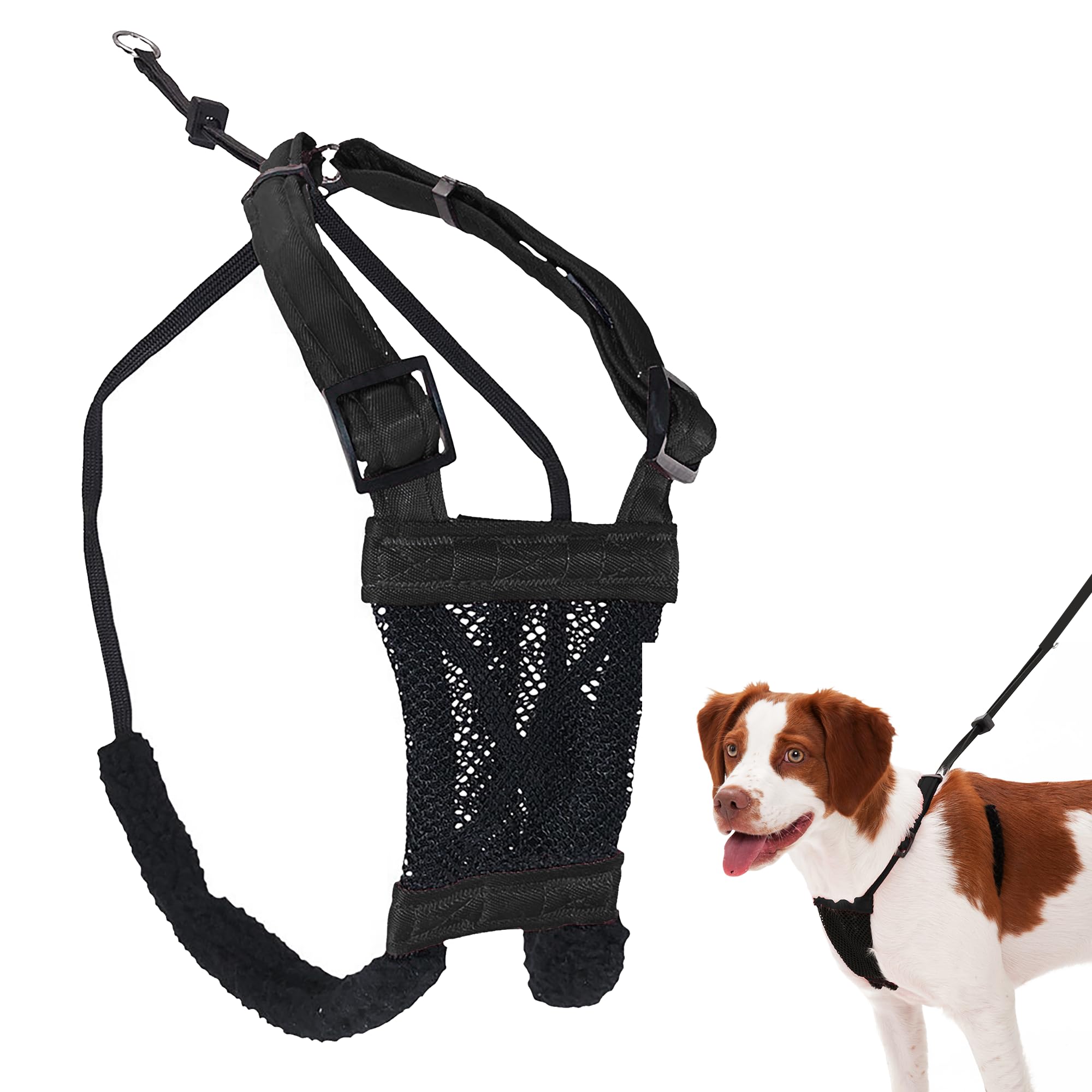 Sporn Mesh — Arnés Sin Jalar y Sin Ahorcar para Perro | Ideal para Entrenamiento