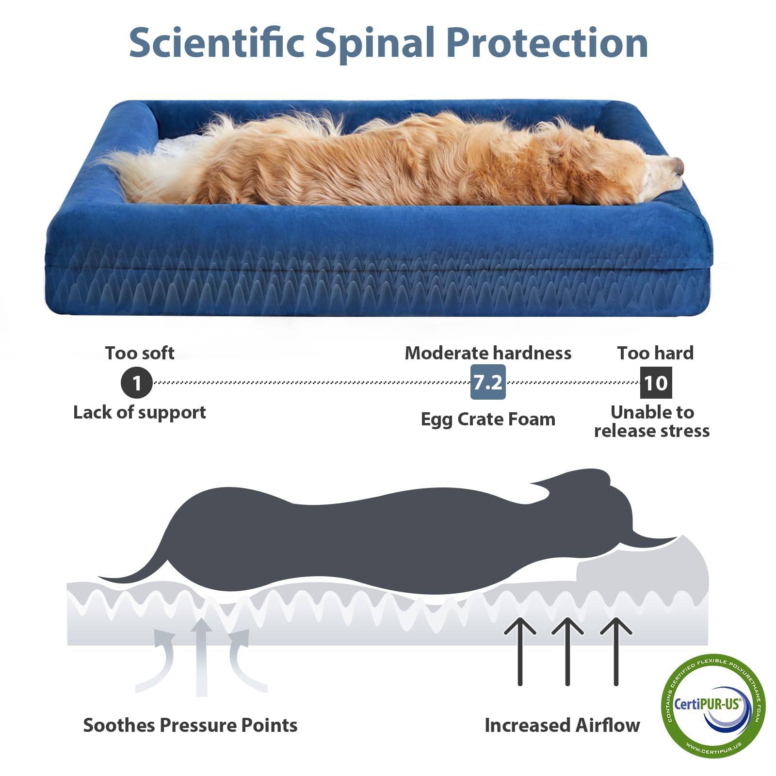 WNPETHOME — Cama Ortopédica Sofá para Perro XL con Cubierta Extraíble Impermeable y Bordes Acolchados