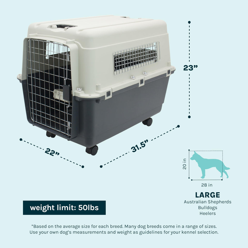 SportPet — Kennel de Viaje Certificado por Aerolíneas con Comederos para Perros y Gatos