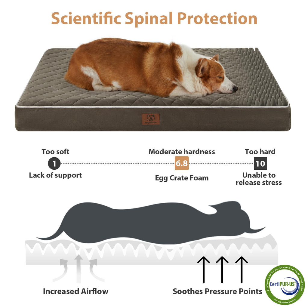 WNPETHOME — Cama Ortopédica Impermeable con Funda Lavable y Base Antideslizante para Perro