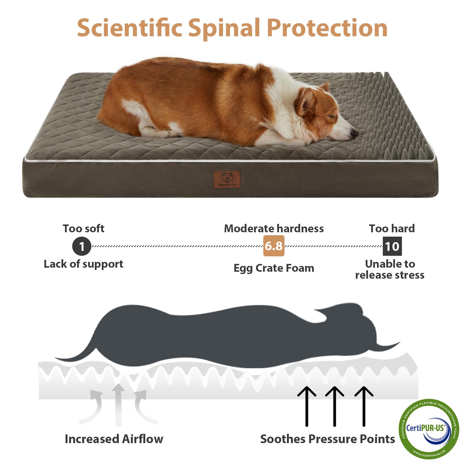 WNPETHOME — Cama Ortopédica Impermeable con Funda Lavable y Base Antideslizante para Perro