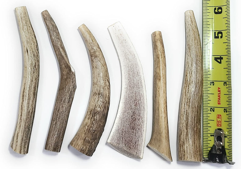 Big Dog Antler Chews — Pack de 6 Mordedores Naturales de Asta de Venado y Alce para Perros Pequeños de 0 a 20 Libras