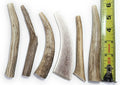 Big Dog Antler Chews — Pack de 6 Mordedores Naturales de Asta de Venado y Alce para Perros Pequeños de 0 a 20 Libras