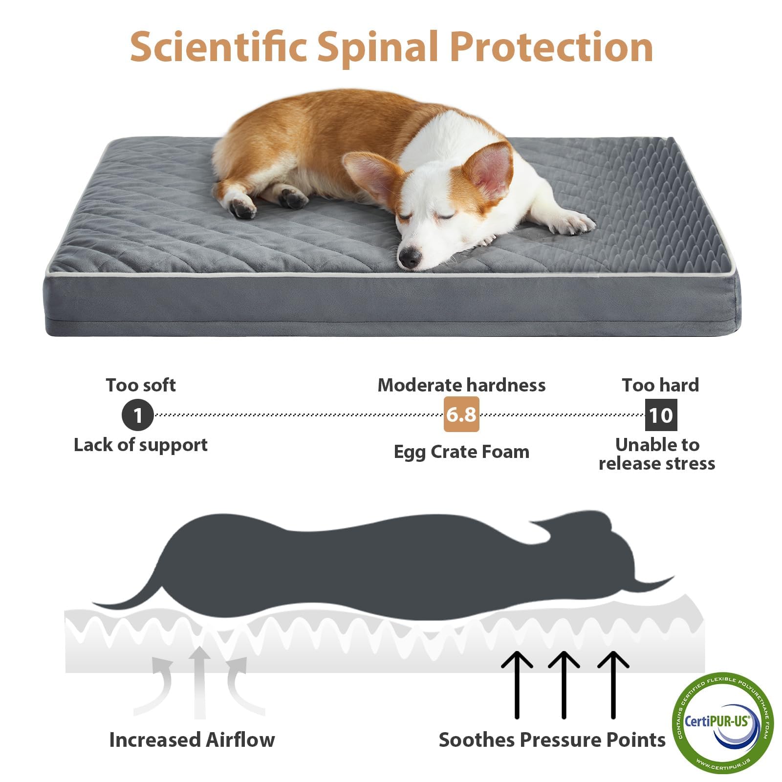 WNPETHOME — Cama Ortopédica Impermeable con Funda Lavable y Base Antideslizante para Perro
